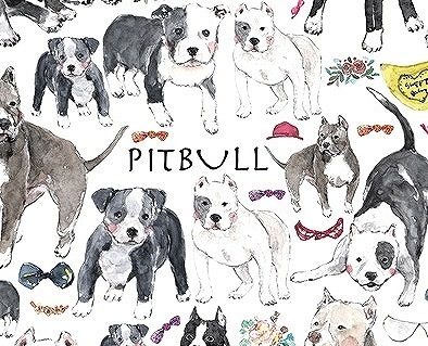 ガラス用ピットブル はがきサイズ