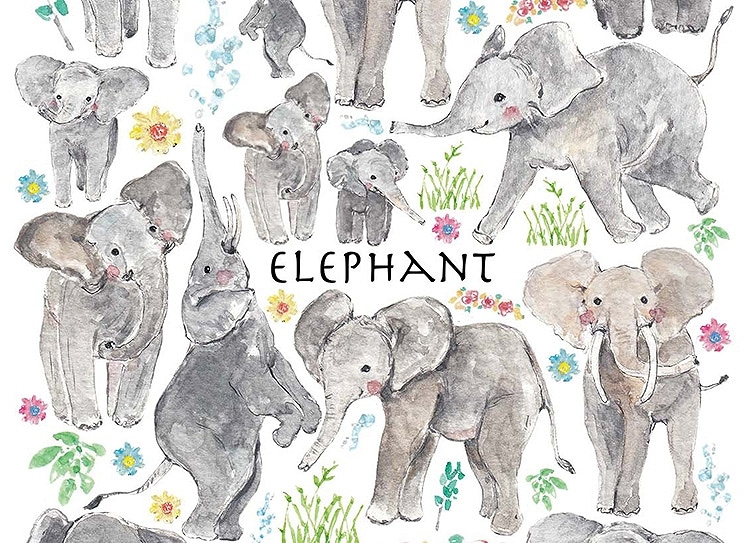 ガラス用ゾウ はがきサイズ