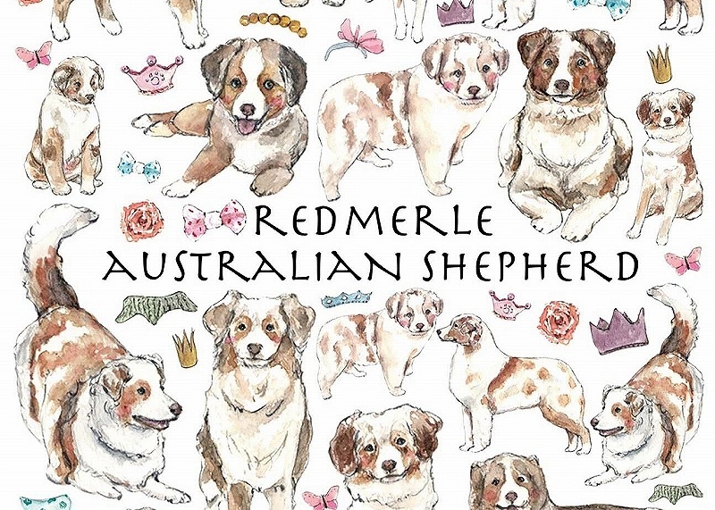 ガラス用オーストラリアンシェパードレッドマール はがきサイズ