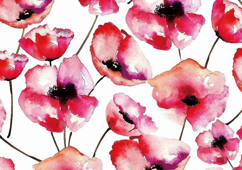 【5枚SET】 ポピー  (1枚あたり1500円)A4