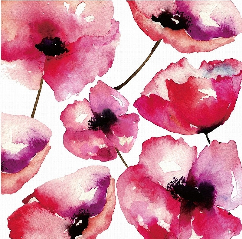 【5枚SET】 ポピー  (1枚あたり1500円)A4