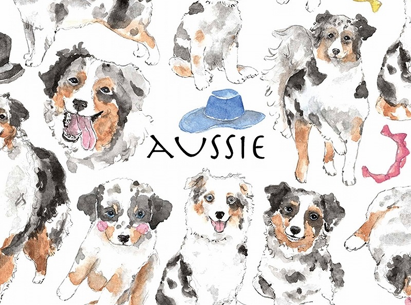 ガラス用オーストラリアンシェパード はがきサイズ