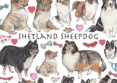 ガラス用シェットランドシープドッグ はがきサイズ