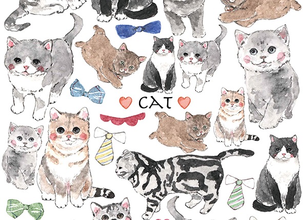 【在庫限り終了】キャット A4サイズ 