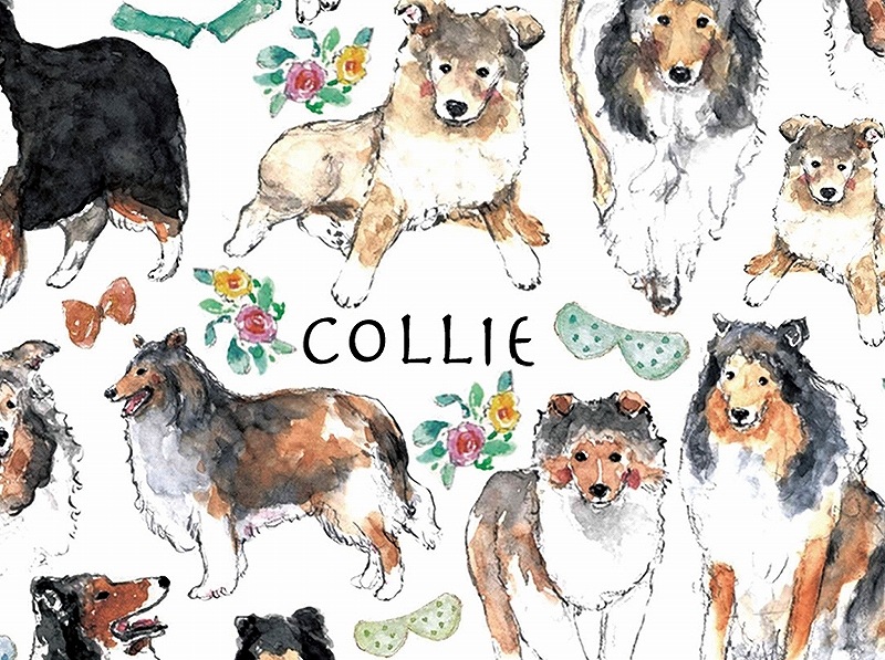 ガラス用コリー はがきサイズ