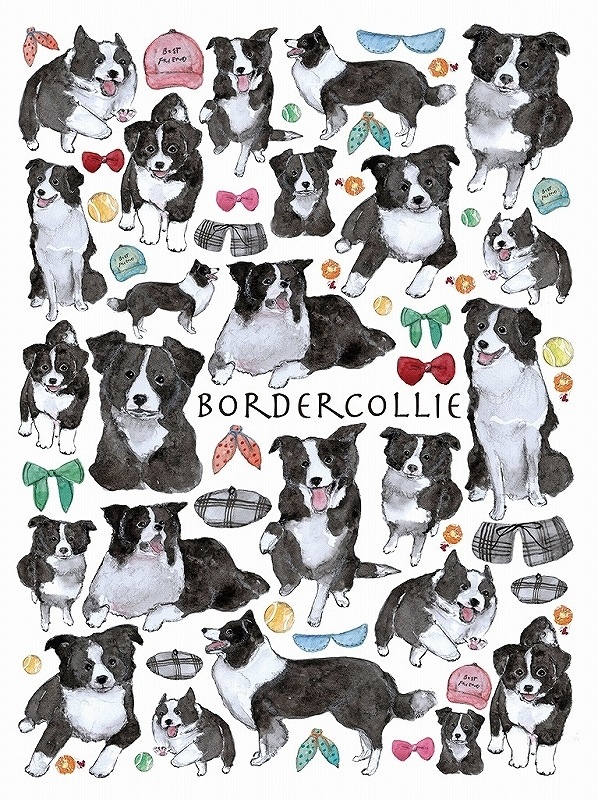 ガラス用ボーダーコリー はがきサイズ