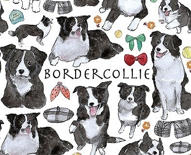 ガラス用ボーダーコリー はがきサイズ