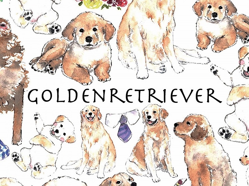 ガラス用ゴールデンレトリバ はがきサイズ