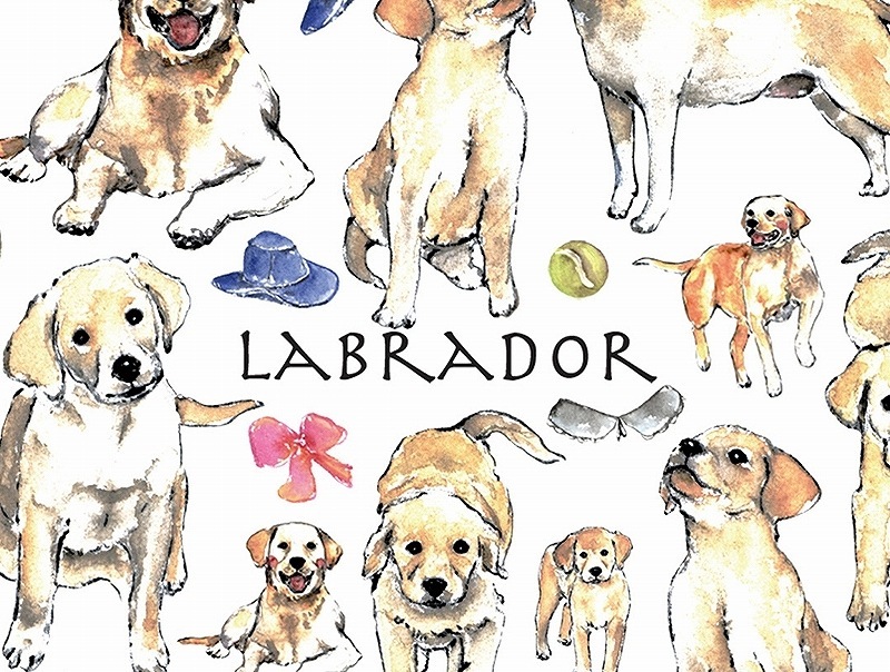 ガラス用ラブラドール はがきサイズ