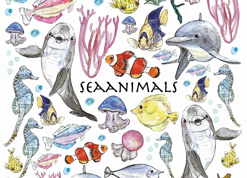 ガラス用海の生き物 はがきサイズ