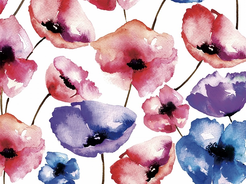 【5枚SET】ガラス用 ポピー  (1枚あたり1500円)A4