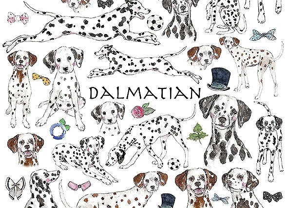 ガラス用ダルメシアン はがきサイズ