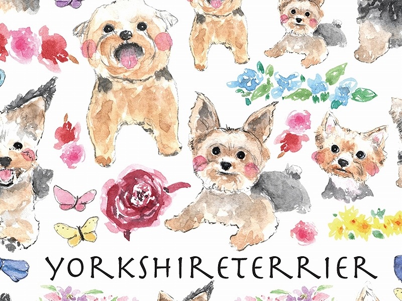 ヨークシャテリア はがきサイズ