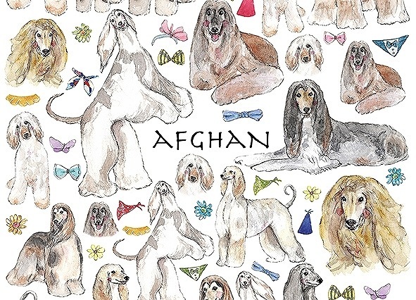 アフガンハウンド はがきサイズ