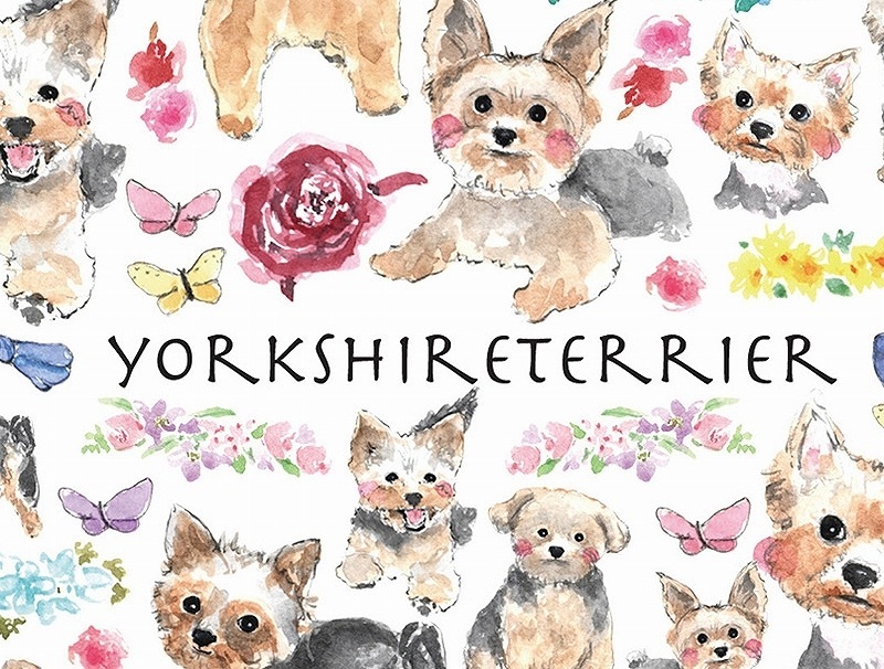 ガラス用ヨークシャテリア はがきサイズ