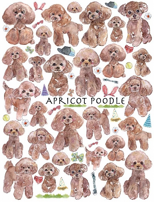 ガラス用トイプードルアプリコットはがきサイズ