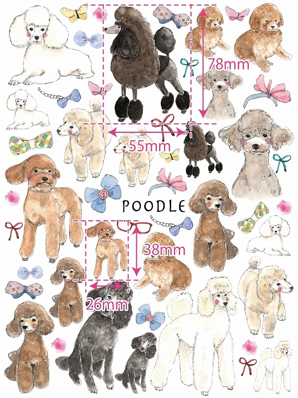 【在庫限り終了】トイプードル A4サイズ 