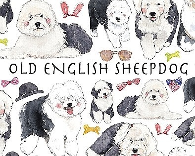 ガラス用オールドイングリッシュシープドッグ はがきサイズ
