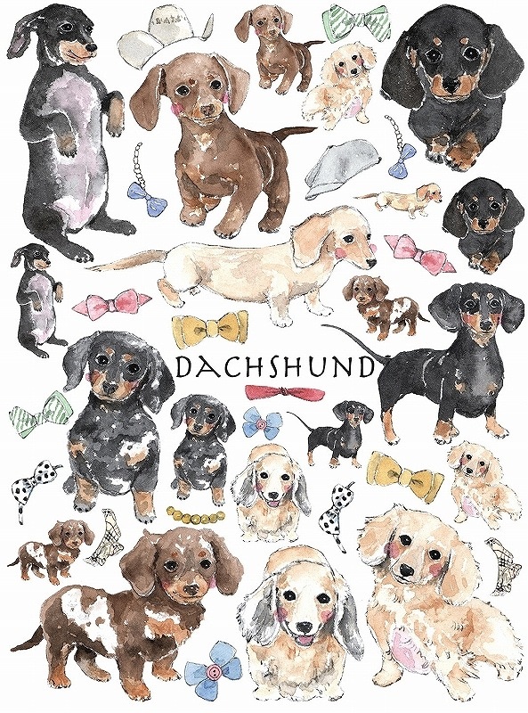 【在庫限り終了】ダックスフンド A4サイズ 