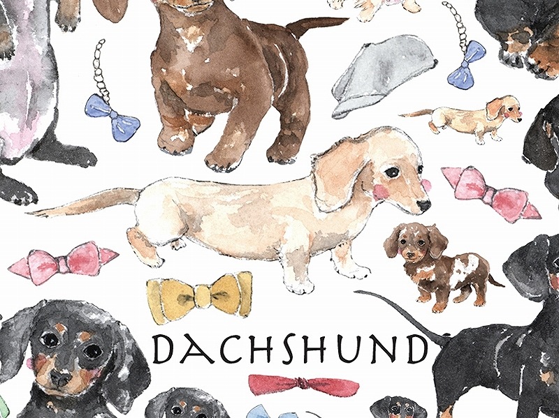 【在庫限り終了】ダックスフンド A4サイズ 