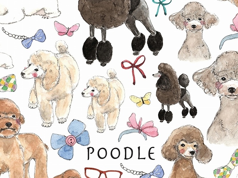 トイプードル はがきサイズ | Animal collection | Lorettaオンライン