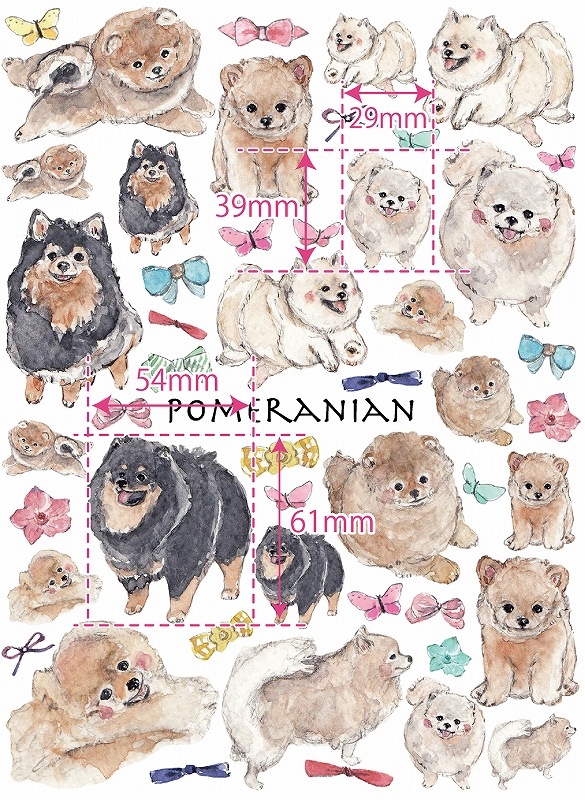 【在庫限り終了】ポメラニアン A4サイズ 