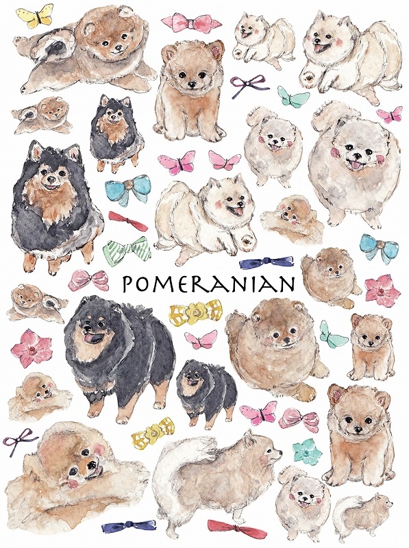 【在庫限り終了】ポメラニアン A4サイズ 