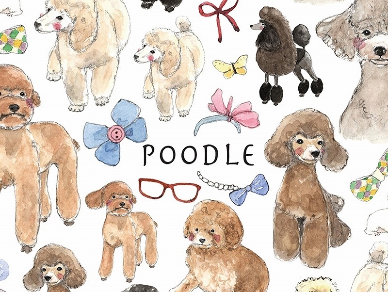 ガラス用トイプードルはがきサイズ