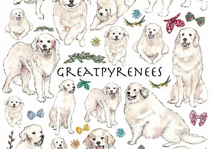 ガラス用グレートピレニーズ はがきサイズ