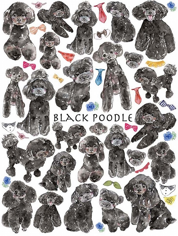 ガラス用トイプードルブラックはがきサイズ