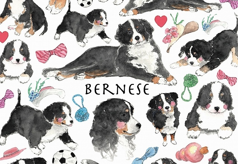 ガラス用バーニーズ はがきサイズ