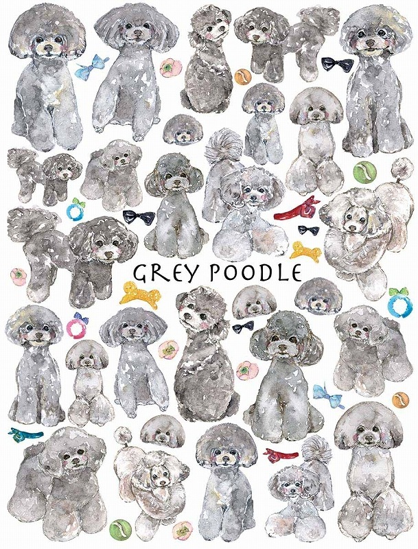 トイプードルグレーはがきサイズ