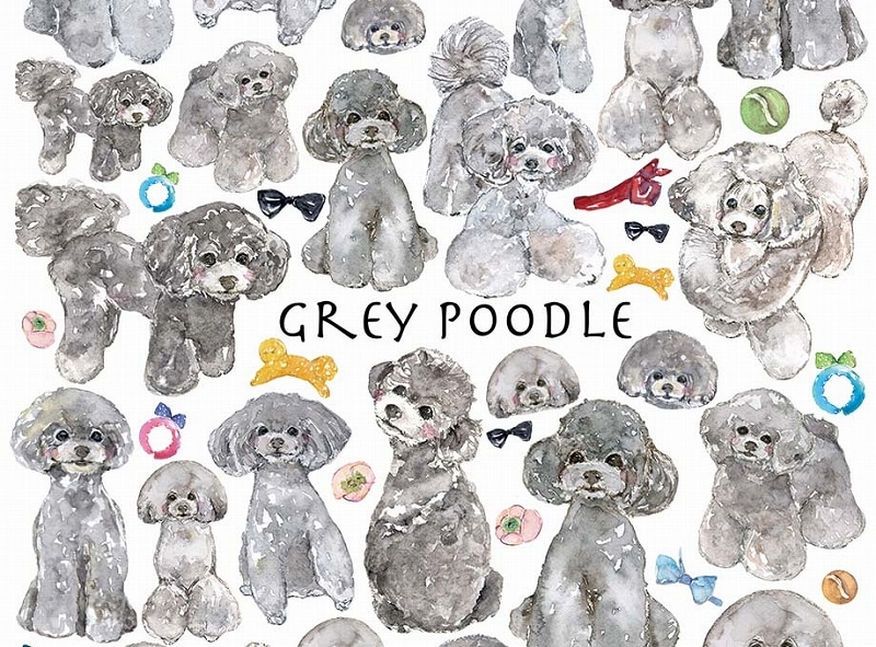 ガラス用トイプードルグレーはがきサイズ