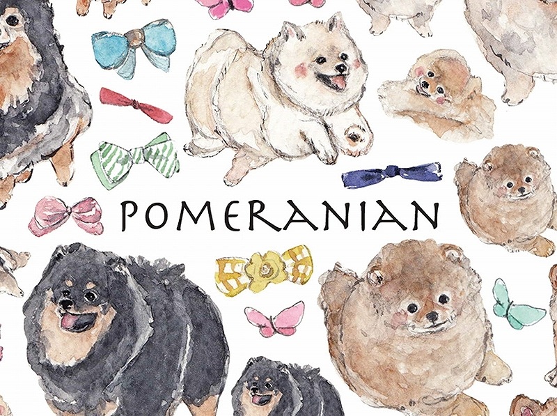 ガラス用ポメラニアン はがきサイズ