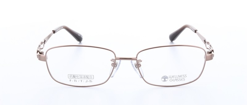 WELLNESS GLASSESʥͥ饹WE-1003 Size.53 Col.3