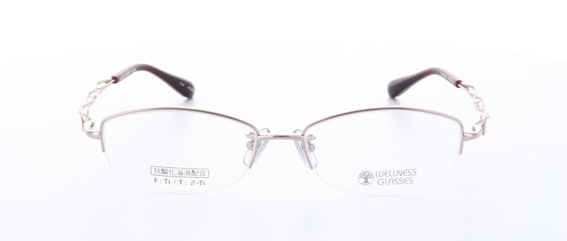 WELLNESS GLASSESʥͥ饹WE-3002 Size.52 Col.2