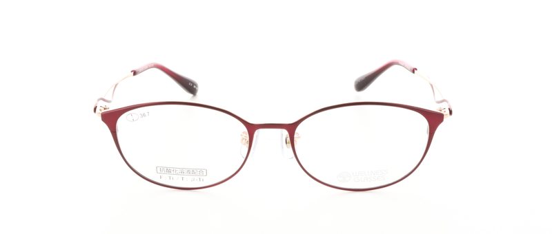 WELLNESS GLASSESʥͥ饹WE-3009 Size.51 Col.3