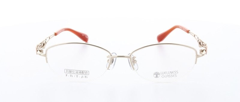 WELLNESS GLASSES�ʥ�����ͥ����饹��WE-3004 Size.51 Col.1