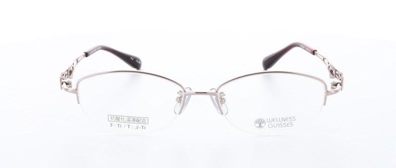 WELLNESS GLASSESʥͥ饹WE-3004 Size.51 Col.2