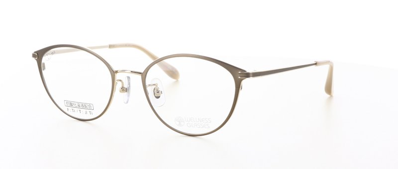 WELLNESS GLASSESʥͥ饹WE-3019 Size.48 Col.3