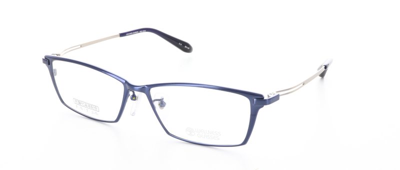 WELLNESS GLASSESʥͥ饹WE-1004 Size.56 Col.3