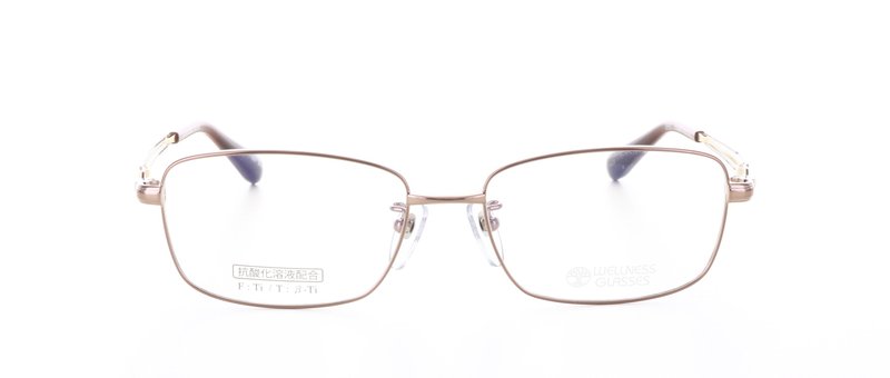 WELLNESS GLASSES�ʥ�����ͥ����饹��WE-1008 Size.53 Col.3