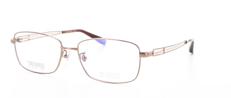 WELLNESS GLASSES�ʥ�����ͥ����饹��WE-1008 Size.55 Col.3