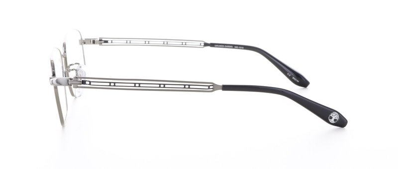 WELLNESS GLASSES�ʥ�����ͥ����饹��WE-1010 Size.54 Col.2