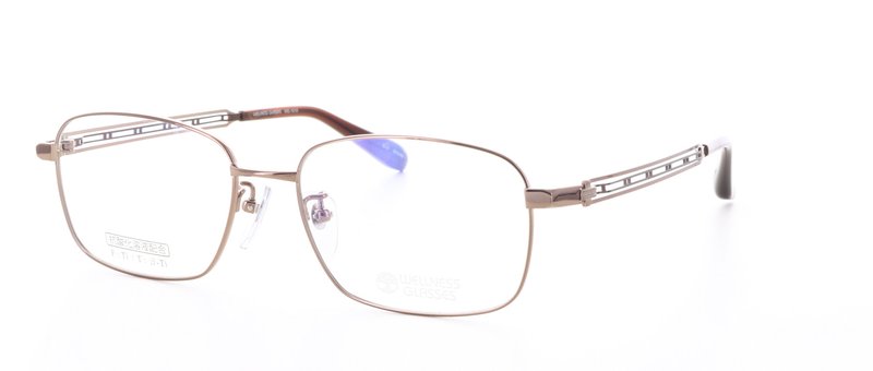 WELLNESS GLASSESʥͥ饹WE-1010 Size.54 Col.3
