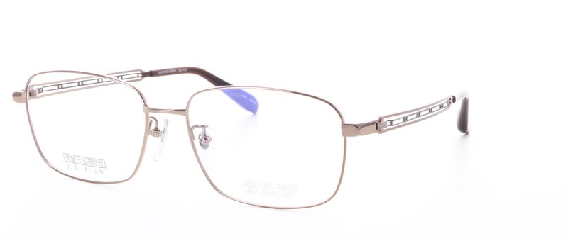 WELLNESS GLASSESʥͥ饹WE-1010 Size.56 Col.3