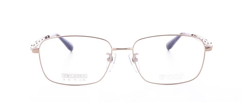 WELLNESS GLASSESʥͥ饹WE-1010 Size.56 Col.3