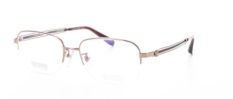 WELLNESS GLASSESʥͥ饹WE-1011 Size.53 Col.3