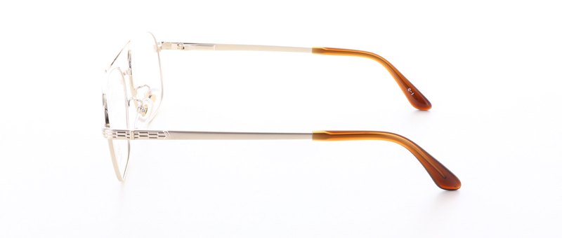 Regulus�ʥ쥰�륹��RG504 Size.56 Col.1