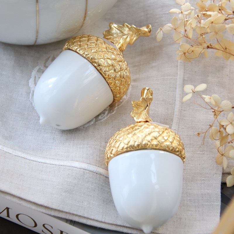 Acornȡڥåѡ / Vagabond House